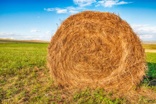 A Round Bale Of Hay In A Field Against A Blue Sky