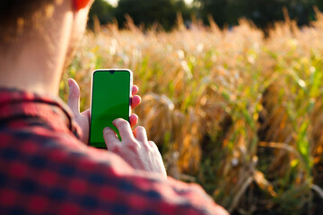 Farmer in plaid shirt hold phone with green screen. Checking field. Modern technology. Agriculture production 