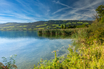 Wall Mural - beautiful landscapes alomg the shores of the Upper Zurich Lake (Obersee), near Hurden, Seedam, Schwyz, Switzerland