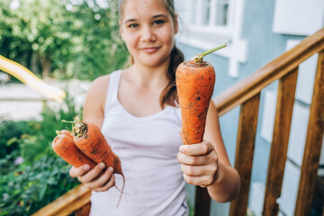 girl holding a carrot in her hands. Harvesting, healthy eating.