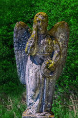 Wall Mural - Beautiful angel against green background. Fragment of an ancient stone statue.