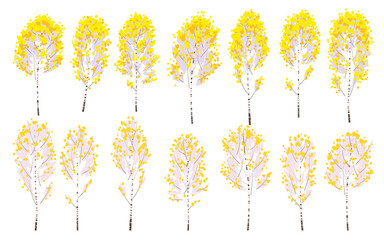 Wall Mural - Simple Autumn Birch Trees  with Yellow Leaves
