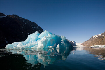 Wall Mural - glacial iceberg, greenland