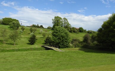 Wall Mural - View of the recreation area and trees