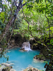 A small water flow with rocks and trees in the background