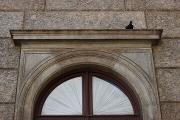 Pigeon on the old Catete Palace window