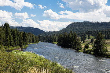 Wall Mural - Western River