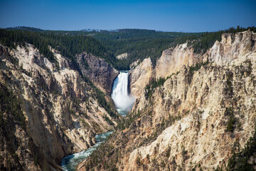 Wall Mural - Yellowstone Falls