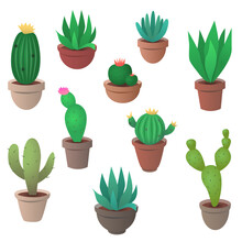 Cactus, Agave And Other Plants In Pots. Vector Icon Collection.