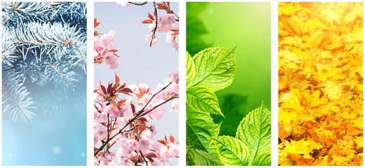 four seasons of year