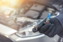 Male's Hand Holding Light Bulb Of Car Headlight For Repair Auto