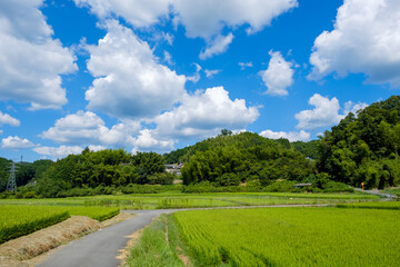 青空と農村の田園風景　京都府木津川市