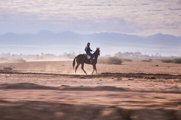 Moroccan horse rider