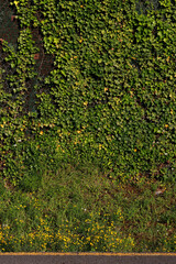 Poster - Vegetation in the countryside