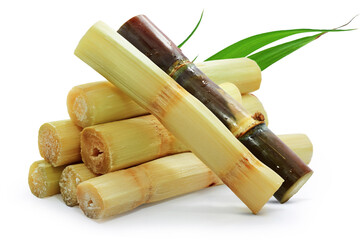 Wall Mural - Single object of sugar cane isolated on white background