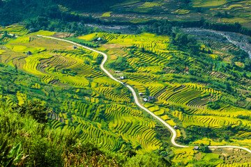 Amazing landscape in Northwest Vietnam. Terraced fields in Ta Xua, Bac Yen, Son La province, Vietnam. At an altitude of 2000m above sea level, this place is also known by the name: Clouds Paradise.