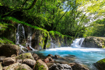 夏の菊池渓谷　黎明の滝　熊本県菊池市　Kikuchi Canyon in Summer Reimei Waterfall Kumamoto-ken Kikuchi city