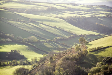 Wall Mural - exmoor somerset england uk