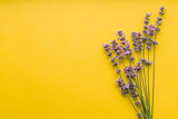 Fototapeta Lawenda - Fresh lavender flowers bouquet on yellow color background. Flatlay purple herbal flower blossom. Bouquet of lavender copy space for text. Lavender aromatherapy.