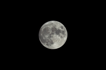Wall Mural - full moon on night sky