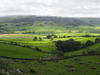 Rural landscape in the Yorkshire Dales