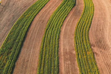 Brown and Green textured farm field