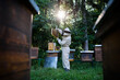 © Halfpoint - Portrait of man beekeeper working in apiary, using bee smoker.