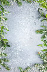 Wall Mural - christmas or winter background with a border of green and frosted evergreen branches on a grey vinta