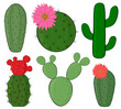 Set of cactus vector illustration
