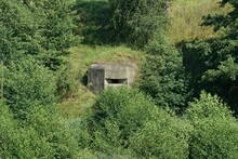 The One Old Embrasure Of The Military Pillbox On A Hill With Trees And Grass