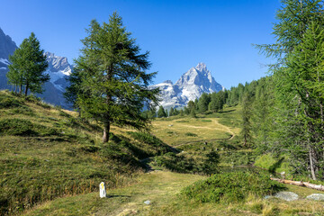 paysage de montagne avec le Cervin au fond