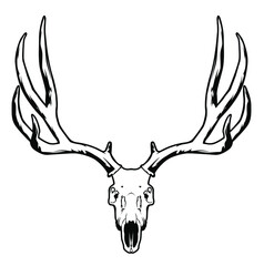 Sticker - black and white illustration with deer skull object