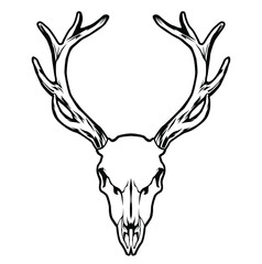 Wall Mural - black and white illustration with deer skull object