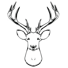 Wall Mural - black and white illustration of a deer head