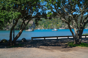 Poster - Whitianga harbour scene