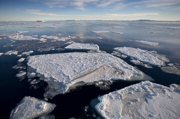 Sea Ice, Antarctic Peninsula