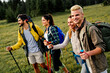 © NDABCREATIVITY - Group of young friends hiking in countryside. Multiracial happy people travelling