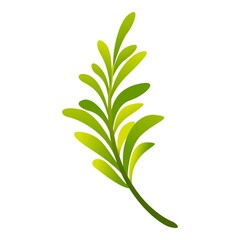 Wall Mural - Rosemary spices icon. Cartoon of rosemary spices vector icon for web design isolated on white background