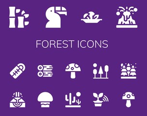 Poster - Modern Simple Set of forest Vector filled Icons