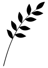 Wall Mural - monochrome vector illustration of branch and leaves