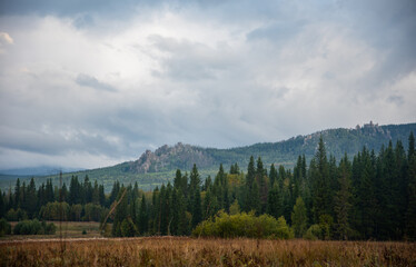 Wall Mural - landscape with trees and clouds