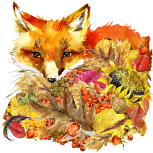 Cute Fox. Watercolor Illustration. Forest Animal. Autumn Nature. Colorful Leaves. Wildlife. 