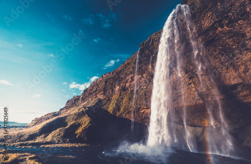 Cuadros en Lienzo Seljalandsfoss waterfall at sunset, Iceland