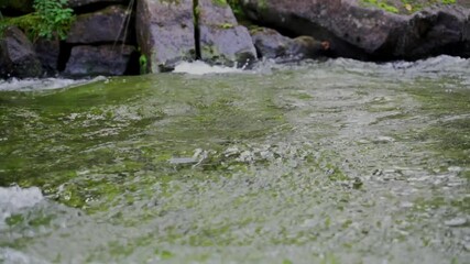 Wall Mural - Slow motion of rapids in a river. Water splashing slowly through rocks.