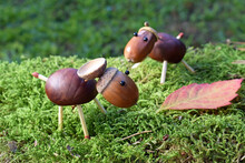 Two Cute Animal Figurines Made Of Chestnuts And Acorns