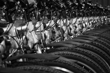 Monochrome shot of neatly parked bicycles, highlighting both form and function. Suitable for urban lifestyle, travel, and minimalist décor themes. 