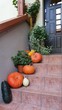 Jesienna dyniowa dekoracja na schodach przed wejściem do domu, pumpkin on the porch