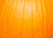 Close Up Of Texture Of Pumpkin Skin