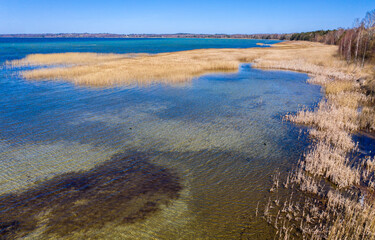 Wall Mural - Aerial view of spring landscape lake. Lake Naroch, Minsk region, Belarus