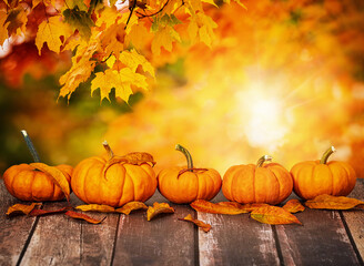 Wall Mural - a row of mini pumpkins and autumn leaves on rustic wooden table. beautiful autumn maple tree leaves 